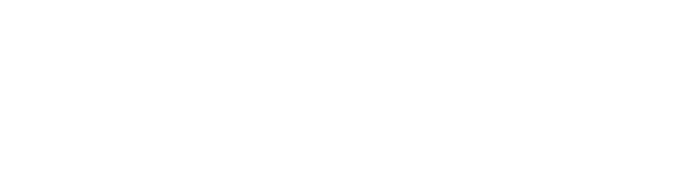 SWM Logo